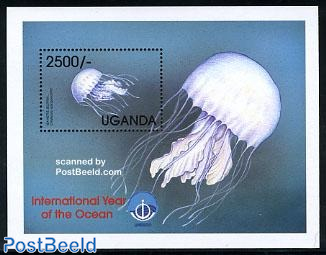 Int. ocean year s/s, Jellyfish