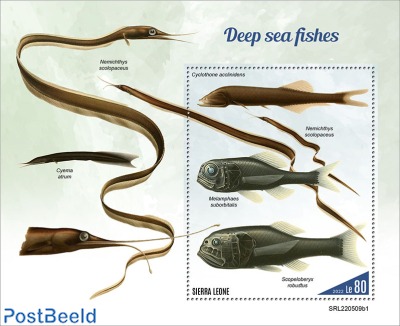 Deep-sea fishes