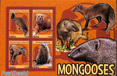 Mongooses 4v m/s