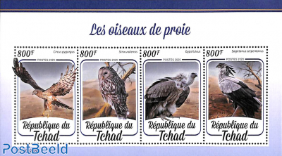 Birds of prey 4v m/s
