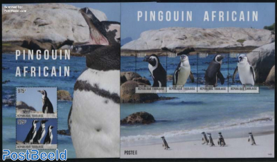 African Pinguin 2 s/s