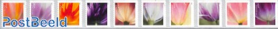 Tulip blossom 10v s-a, coil