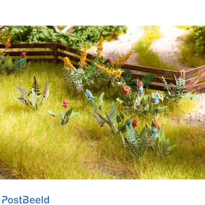 Field plants and Wild flowers (17pcs)