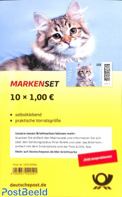 Cat foil booklet