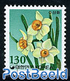 Daffodil 1v